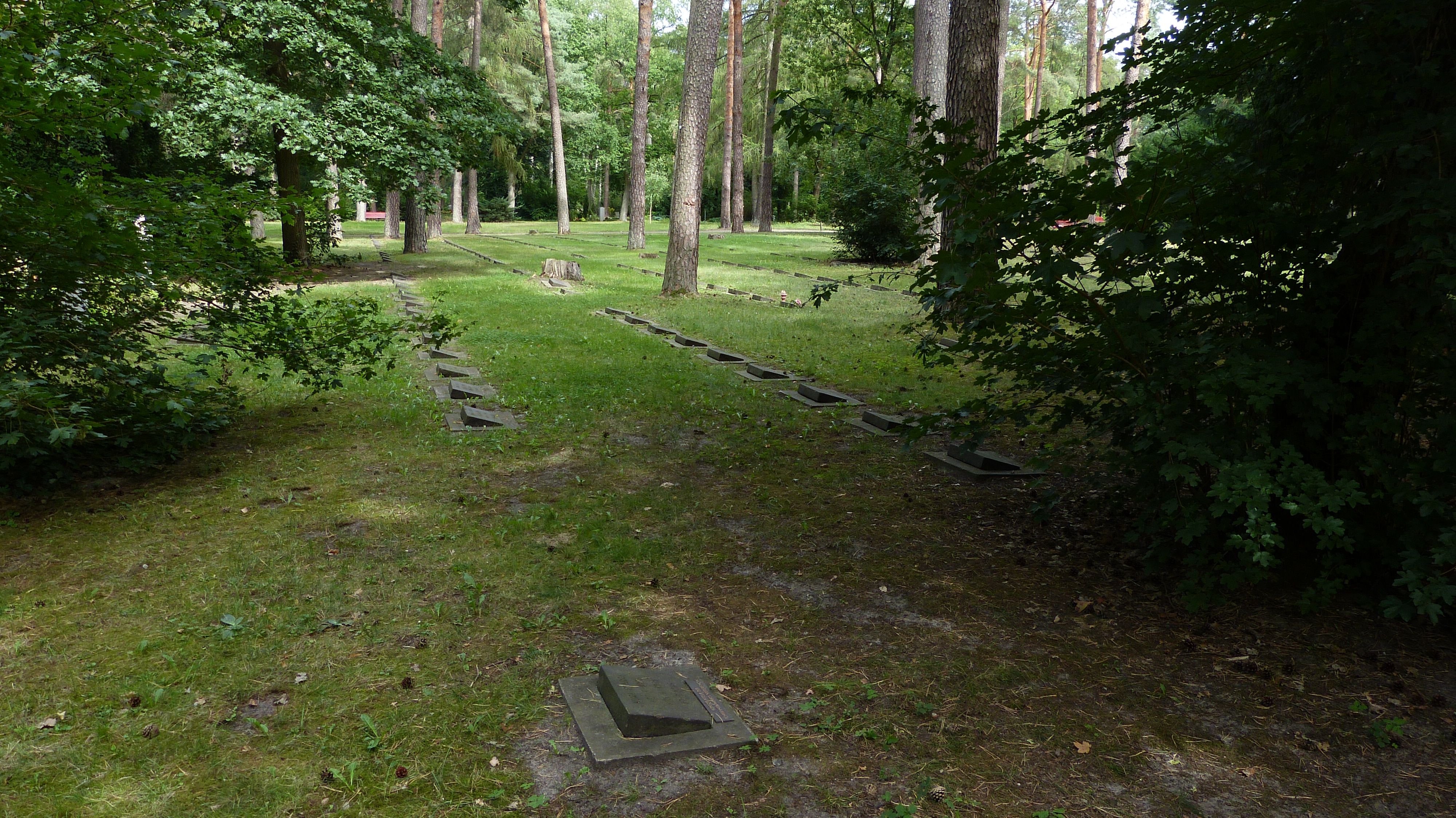 Burial field with flat pillow stones among pines at Waldfriedhof Zehlendorf